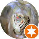 Oyayubi C profile picture