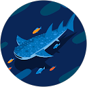 mi ma profile picture